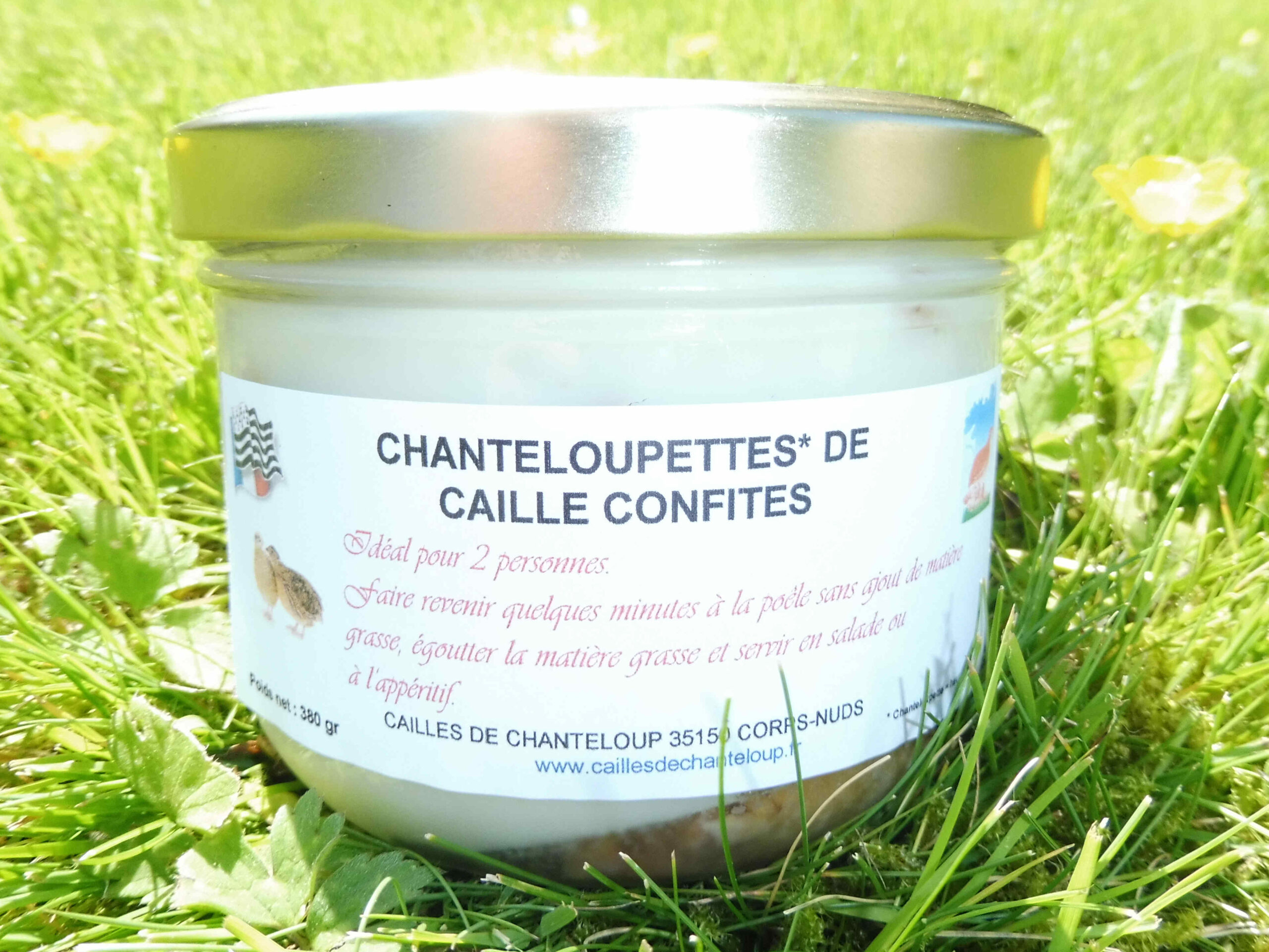 Chanteloupettes confites