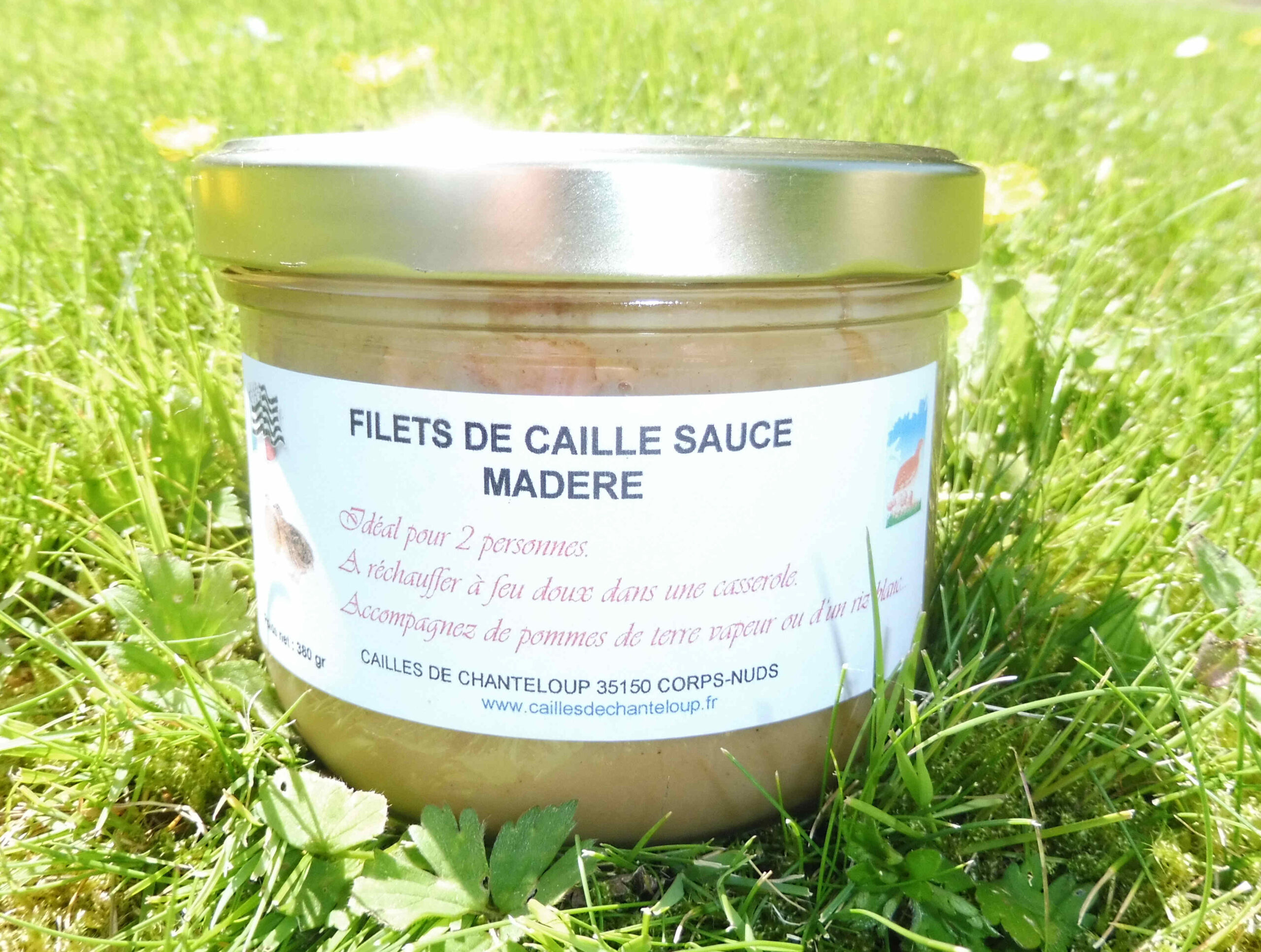 Filets de caille sauce Madère